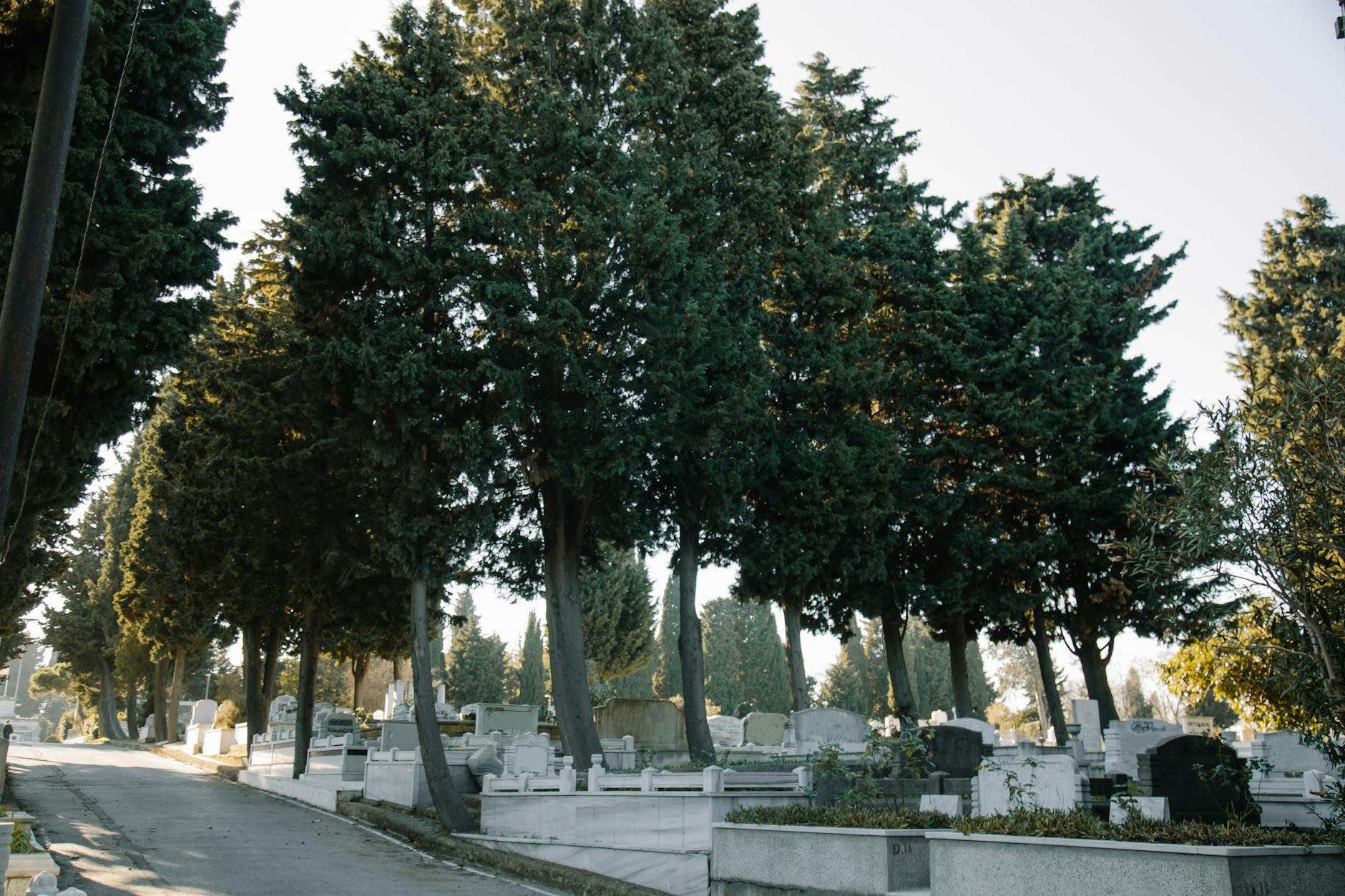 A quiet, well-kept cemetery on a clear day